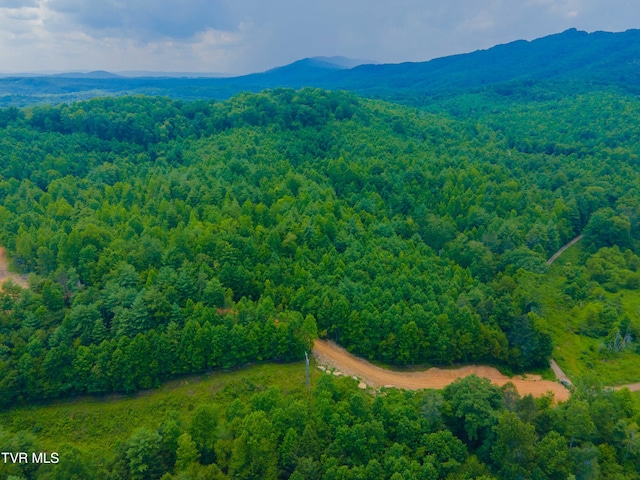 213 Cedar Rdg, Harriman, TN 37748 - photo 11