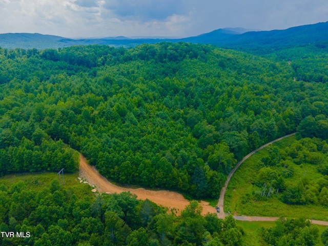 213 Cedar Rdg, Harriman, TN 37748 - photo 12