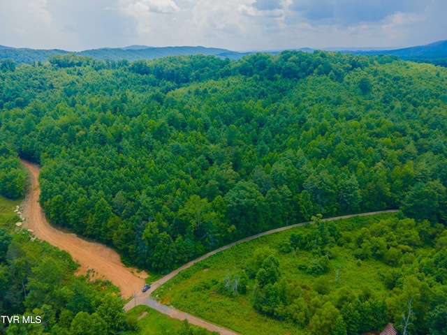213 Cedar Rdg, Harriman, TN 37748 - photo 13