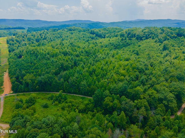 213 Cedar Rdg, Harriman, TN 37748 - photo 14
