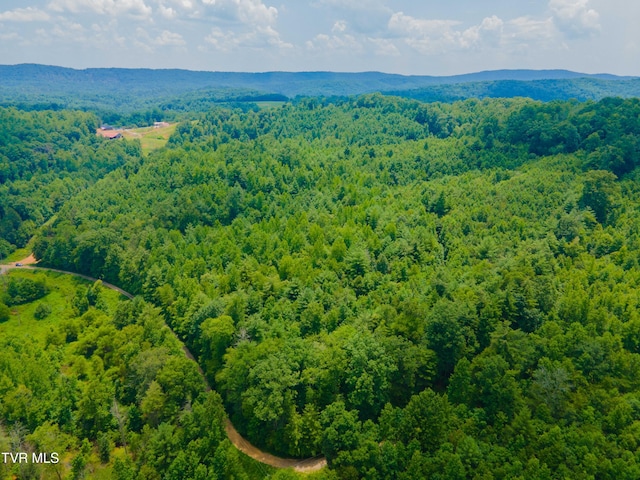 213 Cedar Rdg, Harriman, TN 37748 - photo 15