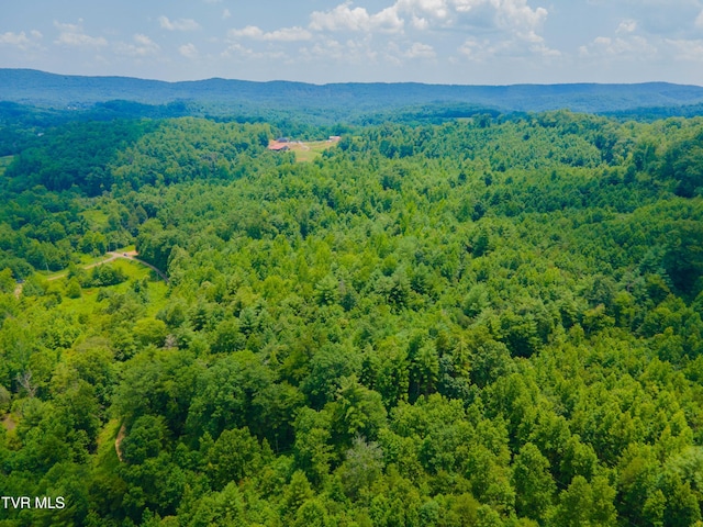 213 Cedar Rdg, Harriman, TN 37748 - photo 16