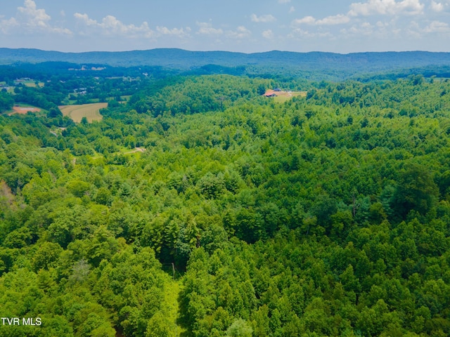 213 Cedar Rdg, Harriman, TN 37748 - photo 17
