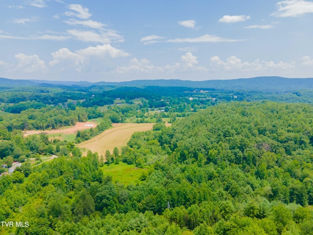 213 Cedar Rdg, Harriman, TN 37748 - photo 19
