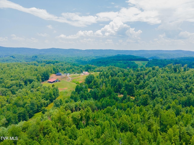 213 Cedar Rdg, Harriman, TN 37748 - photo 20