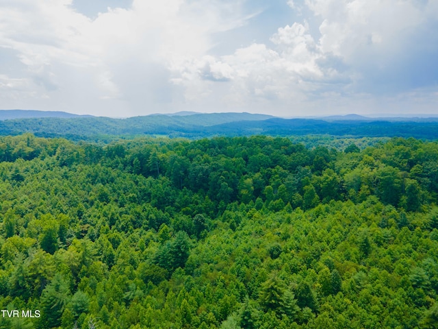 213 Cedar Rdg, Harriman, TN 37748 - photo 21