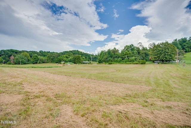 LOT9 Powder Branch Rd, Elizabethton, TN 37601 - photo 3