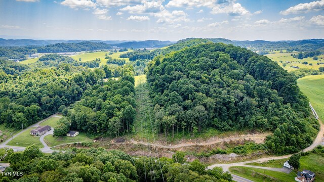 7006 Gate City Hwy, Bristol, VA 24202 - photo 8