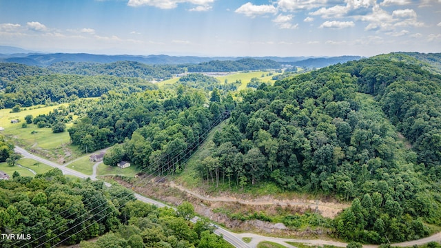 7006 Gate City Hwy, Bristol, VA 24202 - photo 10