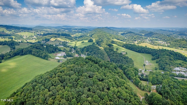 7006 Gate City Hwy, Bristol, VA 24202 - photo 14
