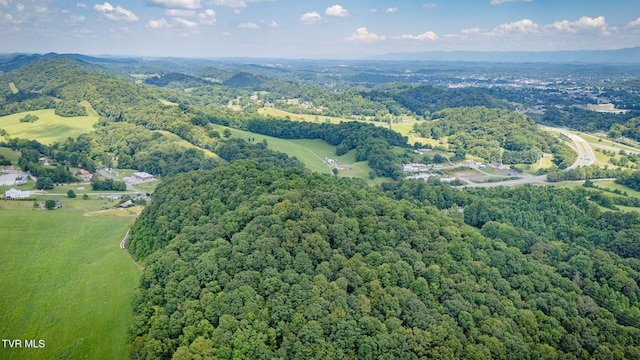 7006 Gate City Hwy, Bristol, VA 24202 - photo 18