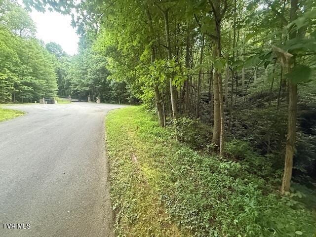 157 Pfeiffer Ridge Rd, Johnson City, TN 37601 - photo 9