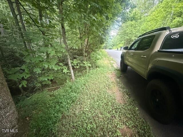 157 Pfeiffer Ridge Rd, Johnson City, TN 37601 - photo 10