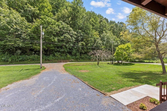 386 Judge Ben Allen Rd, Elizabethton, TN 37643 - photo 8