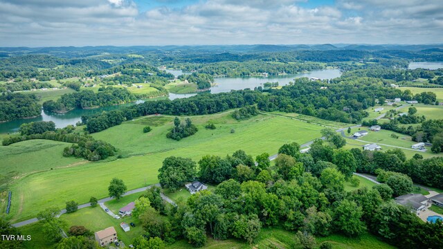 2961 Rocky Springs Rd, Piney Flats, TN 37686 - photo 39