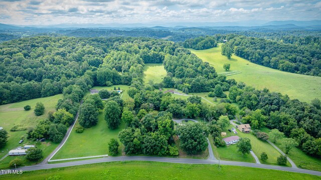 2961 Rocky Springs Rd, Piney Flats, TN 37686 - photo 40