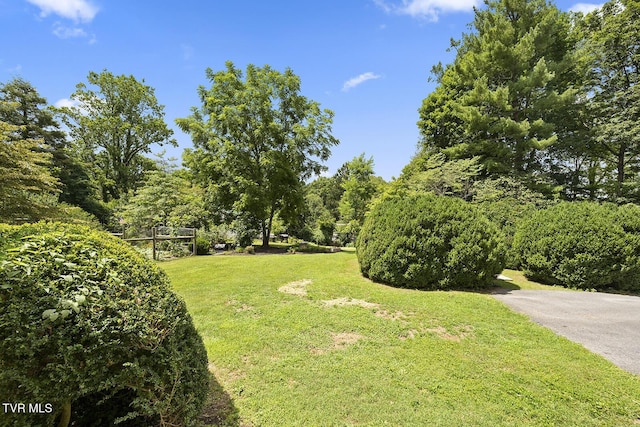 217 N St, Marion, VA 24354 - photo 42