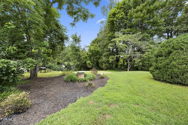 217 N St, Marion, VA 24354 - photo 43