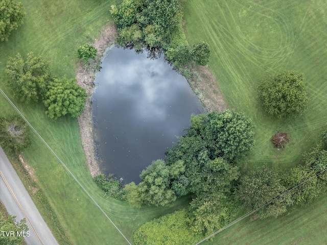 153 Greene County Line Rd, Chuckey, TN 37641 - photo 5