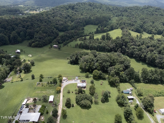 153 Greene County Line Rd, Chuckey, TN 37641 - photo 8