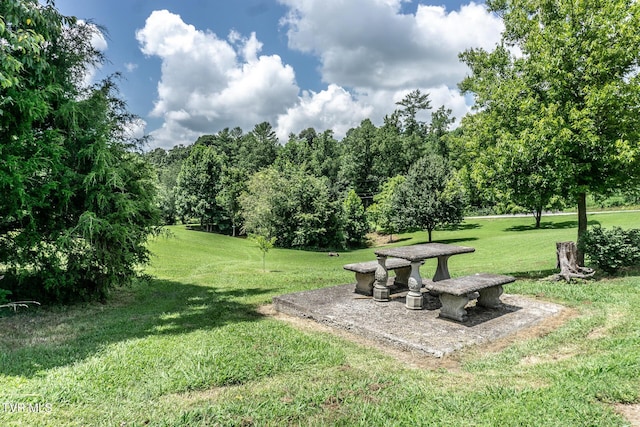 153 Greene County Line Rd, Chuckey, TN 37641 - photo 40