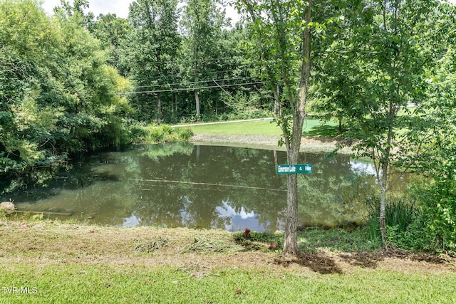 153 Greene County Line Rd, Chuckey, TN 37641 - photo 41