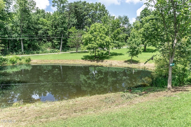 153 Greene County Line Rd, Chuckey, TN 37641 - photo 43