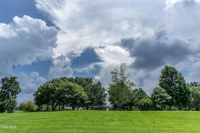 153 Greene County Line Rd, Chuckey, TN 37641 - photo 44