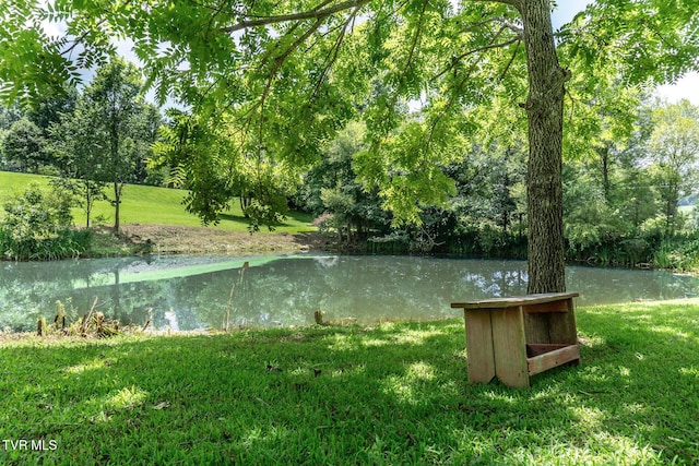 153 Greene County Line Rd, Chuckey, TN 37641 - photo 4