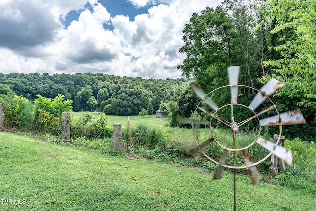 153 Greene County Line Rd, Chuckey, TN 37641 - photo 46