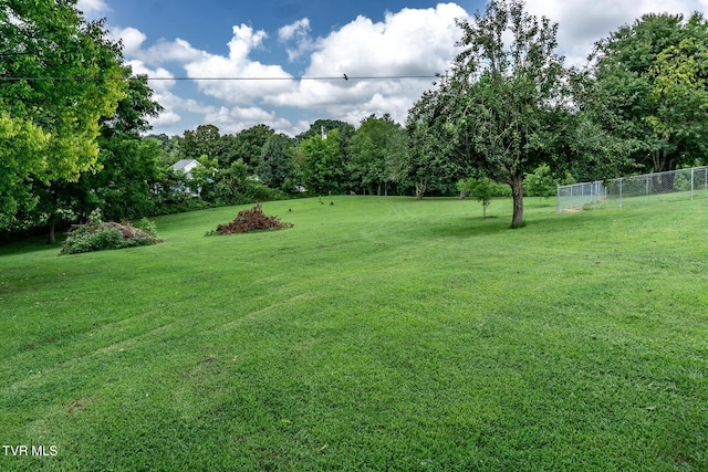 153 Greene County Line Rd, Chuckey, TN 37641 - photo 47