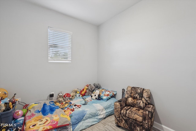 924 Campbell St, Kingsport, TN 37660 - photo 19