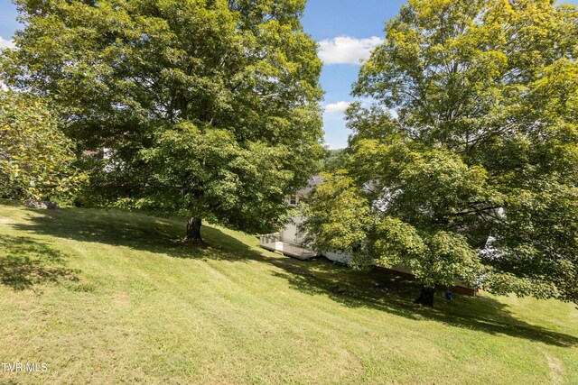203 Autumn Dr, Bristol, VA 24201 - photo 24