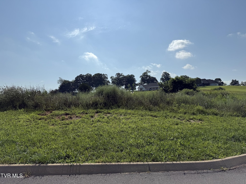 LOT52 Unlce Buddys Way, Jonesborough, TN 37659 - photo 1