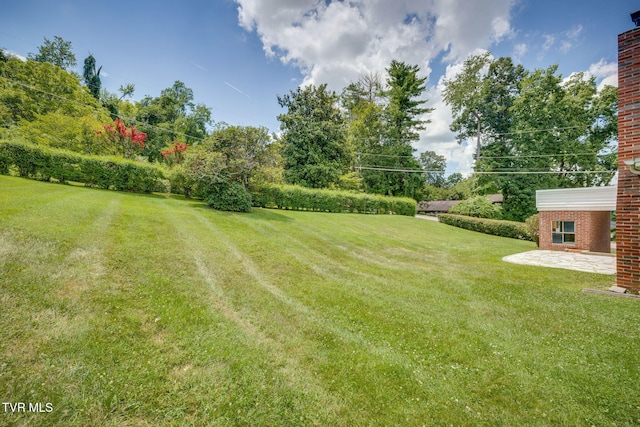 215 Cherry Ln, Bristol, VA 24201 - photo 41