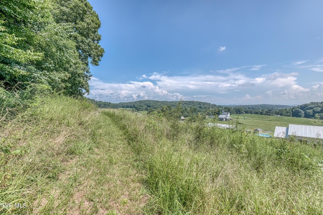 250 Adams Rd, Blountville, TN 37617 - photo 59
