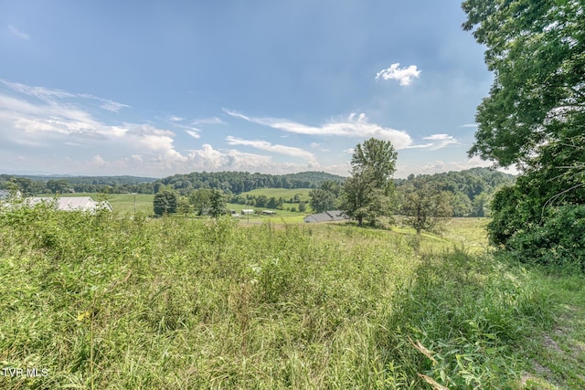 250 Adams Rd, Blountville, TN 37617 - photo 60