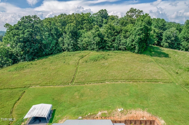 250 Adams Rd, Blountville, TN 37617 - photo 64