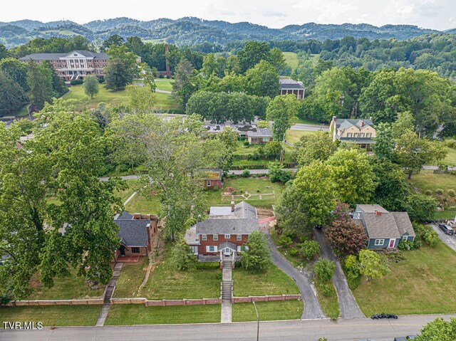 801 Prospect Ave, Bristol, VA 24201 - photo 22
