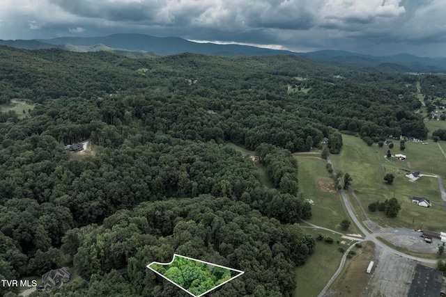 Tbd Fairway Point, Unicoi, TN 37692 - photo 3