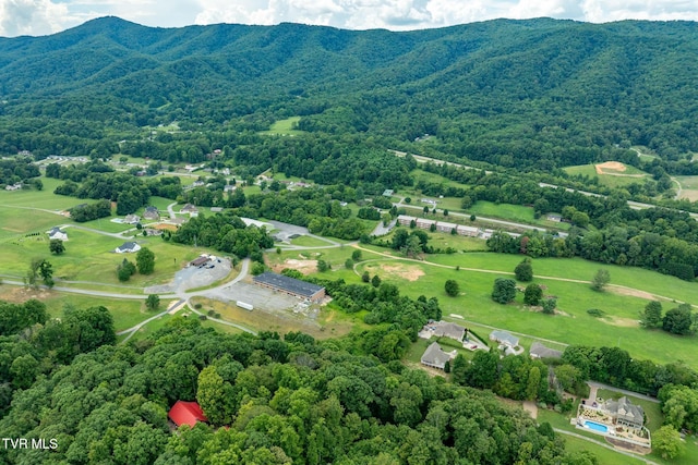 Tbd Fairway Point, Unicoi, TN 37692 - photo 5
