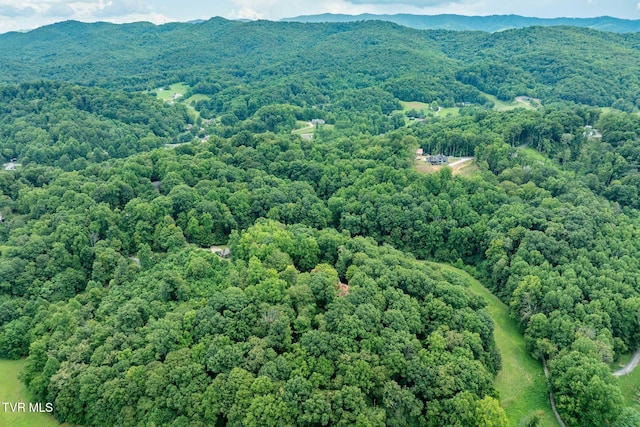 Tbd Fairway Point, Unicoi, TN 37692 - photo 7
