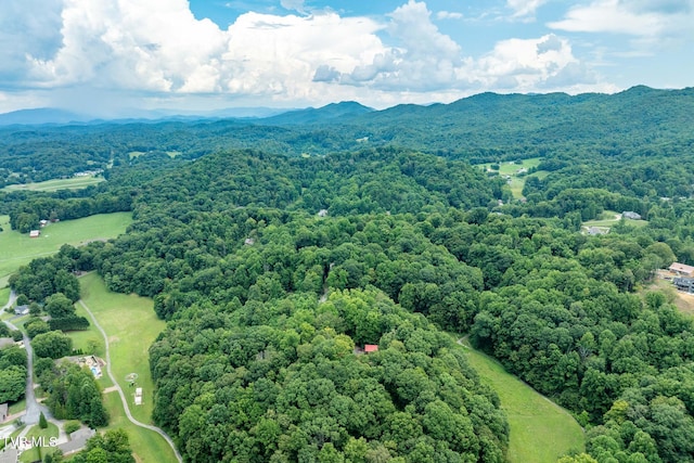 Tbd Fairway Point, Unicoi, TN 37692 - photo 8