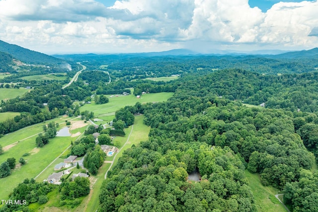 Tbd Fairway Point, Unicoi, TN 37692 - photo 9