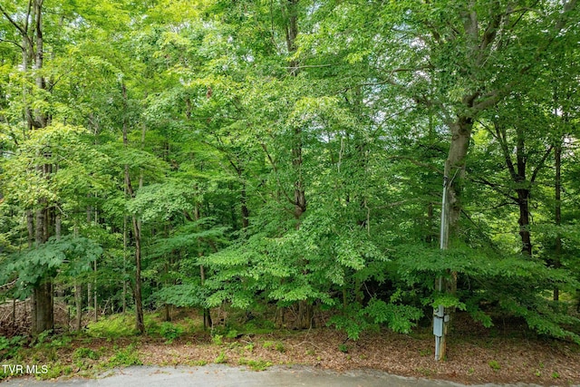 Tbd Fairway Point, Unicoi, TN 37692 - photo 12