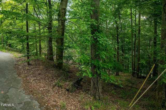 Tbd Fairway Point, Unicoi, TN 37692 - photo 13