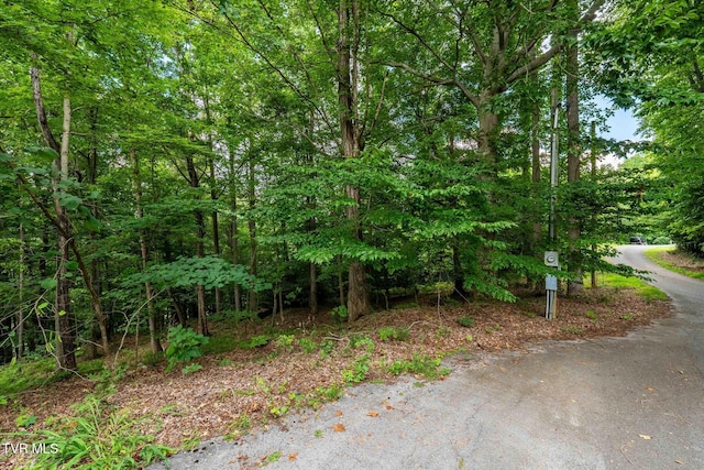 Tbd Fairway Point, Unicoi, TN 37692 - photo 14