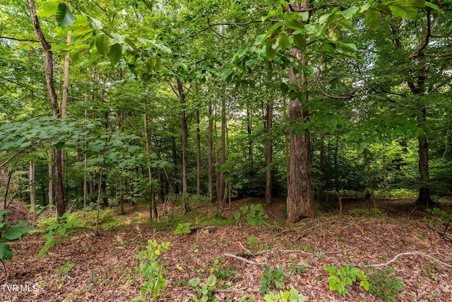 Tbd Fairway Point, Unicoi, TN 37692 - photo 15