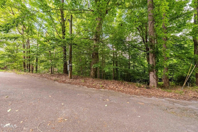 Tbd Fairway Point, Unicoi, TN 37692 - photo 16