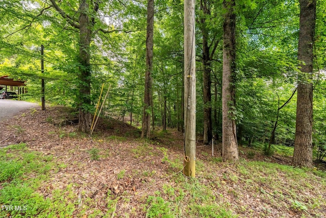 Tbd Fairway Point, Unicoi, TN 37692 - photo 17